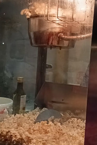 Popcorn